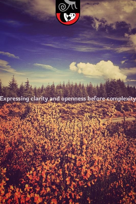 Yellow wildflowers under blue sky on Vancouver Island, expressing clarity before complexity